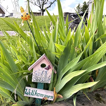 Papstdorf Saechsische Schweiz 15 * Kurort Gohrisch